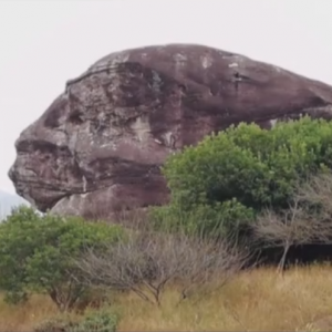 近日，太平镇元中村发现“古猿”巨石