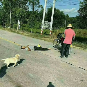 新兴县有多少人口_河北省邢台市平乡县河古庙镇230国道31号新兴医院疫情期间(3)