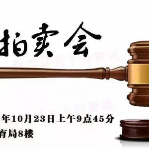 【最新】新兴县国有资产竞投公告（内附清单）