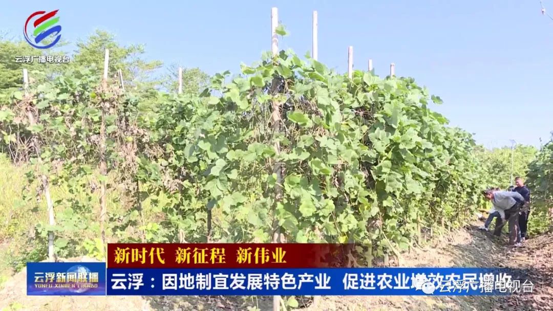 多措并举稳定经济基本盘