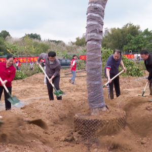 罗定市组织参加全省推进绿美广东生态建设义务植树活动
