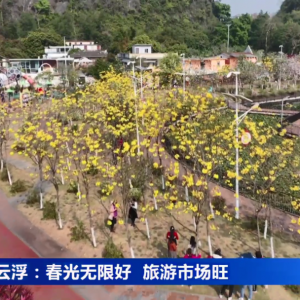 云浮：春光无限好 旅游市场旺