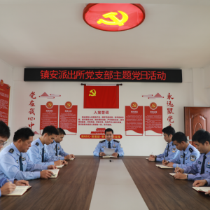 镇安派出所：强化巡防机制 护一方平安