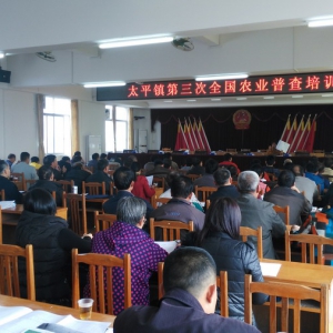 太平镇召开第三次全国农业普查培训会议