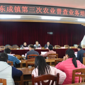 东成镇召开第三次全国农业普查业务培训班