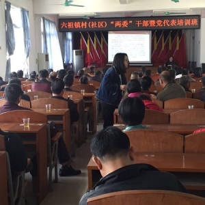 新兴县举办村（社区）“两委”干部暨党代表培训班