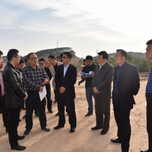 省2016年土地例行督察发现问题整改落实情况实地督导组到水台镇检查督导工作 ... ...