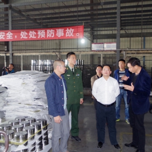 常务副县长刘锋汉到新城镇督导今冬明春火灾防控工作开展情况 ... ...