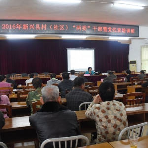 东成镇召开2016年新兴县村（社区）“两委”干部暨党代表培训班 ... ...