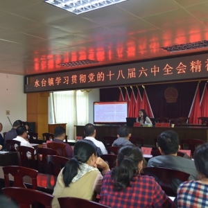 水台镇召开学习贯彻党的十八届六中全会精神大会