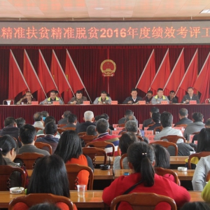 稔村镇召开2016年扶贫开发工作成效考核工作会议