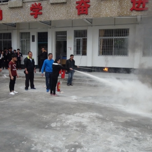 太平镇组织共成中学开展消防应急演练
