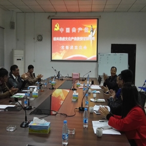 广东新兴鼎盛文化产业投资有限公司党支部成立
