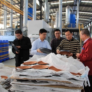 梁子财对新成工业园的一批在建项目进行调研