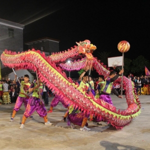车岗镇：花灯龙狮闹元宵晚会隆重举行