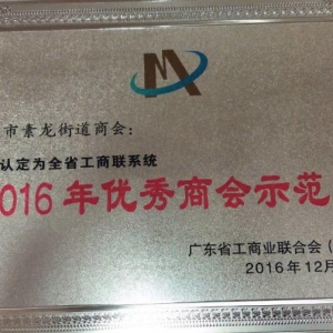 罗定素龙街道商会被确定为广东省2016年“优秀商会示范点”