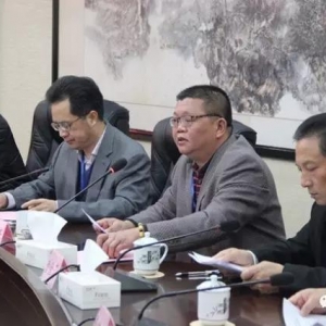 水台、里洞两镇顺利接受“广东省教育强镇复评”督导验收