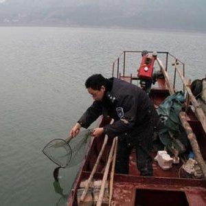罗定江首次进入禁渔期 时间为每年3月1日至6月30日
