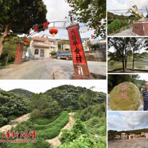 共谋共建美丽乡村