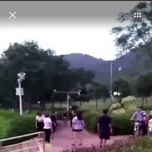 网传云浮市府南山公园有人偷小孩？真相竟然是...