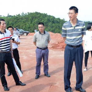 县委书记唐谊率队到太平镇调研重点项目建设情况