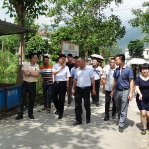 襄阳市人大常委会到六祖镇龙山塘村考察农村生活垃圾管理工作 ...