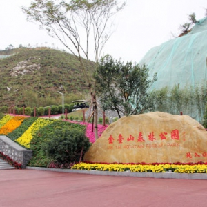 新兴县委书记唐谊:加快建设金台山森林公园二三期