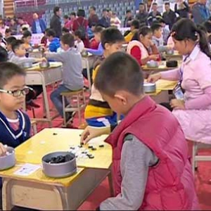 新兴体育中心450名“小棋手”摆开阵势 精彩过招