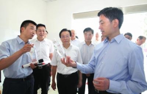 新兴全力以赴 迎接教育“创现”督导验收