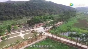 新兴簕竹镇农牧小镇将于今年6月基本完工