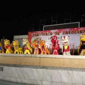 新兴县2018年第三届“恒星”贺新年武术龙狮汇演在县文化广场举行 ...