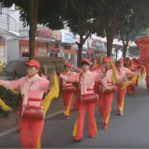 广西田阳小伙大红花轿迎娶广东罗定市美眉