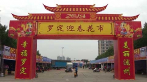 罗定迎春花市在市政广场开市 花商陆续进场