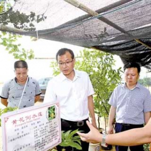 罗定去年累计投入扶贫专项资金3.03亿元 开展帮扶项目12.25万个 ...