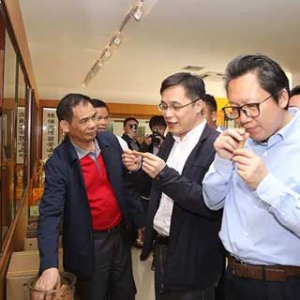 中国工程院院士黄璐琦到罗定调研中草药产业发展工作