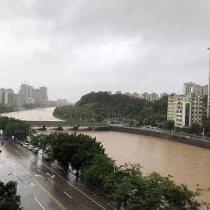 【台风】明天起又有新一轮降雨！最高13级！新兴将迎“双台风”效应？ ... ... ...
