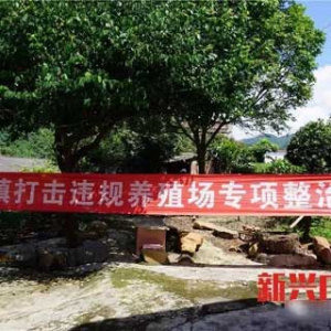 新兴河头镇依法拆除16间违规猪场 面积约660平方米