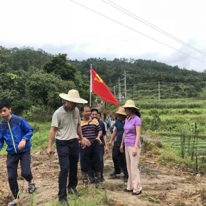 【热点】新兴各镇村陆续启动“三清三拆”工作