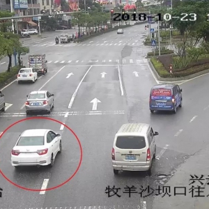 寻目击证人