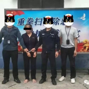 王×惠、张X平相继被捕，究竟发生什么事？