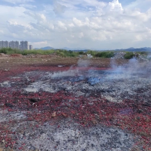 郁南县公安局会同县有关部门销毁一批非法烟花爆竹