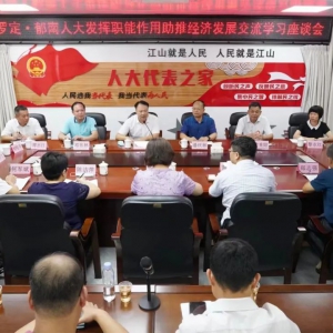郁南县人大常委会考察组到罗定市考察交流​