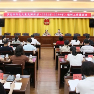 罗定市召开妇女儿童发展规划（2021年-2030年）编制工作推进会 ...