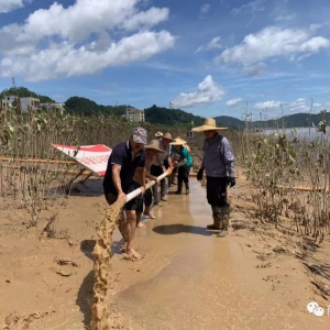 郁南：水退人进 干群清淤消杀恢复生产生活秩序