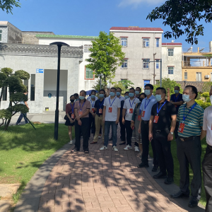 县人大常委会开展平安新兴建设视察活动