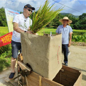 车岗镇：百里欢庆丰收节 “土融”焕起鱼米香