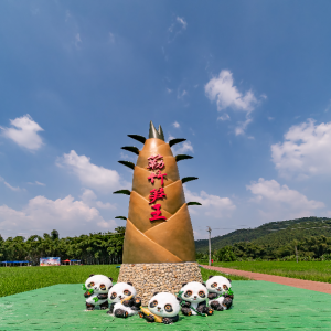 簕竹镇：大力培育笋竹产业 加速镇域经济发展