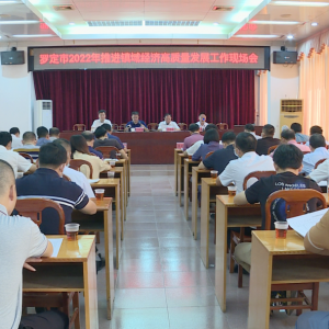 罗定市举行2022年推进镇域经济高质量发展工作现场会