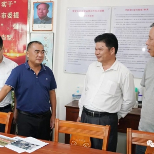 云浮市人大常委会检查组到罗定市检查《云浮市人民代表大会常务委员会关于加强矿产资源 ...