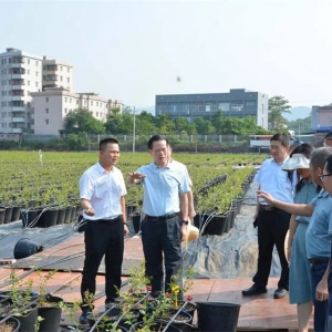 积极配合督查！太平镇实施“三双”战略加快实现富民强镇